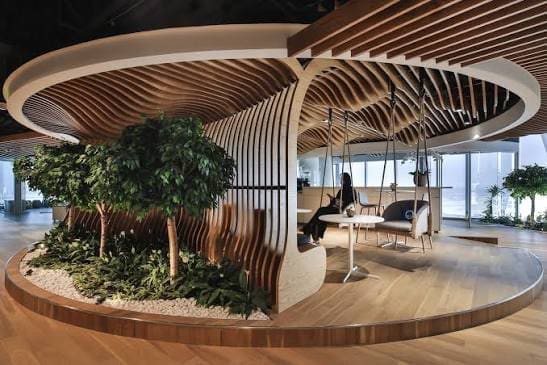 Biophilic Design for Small Businesses in Florida
